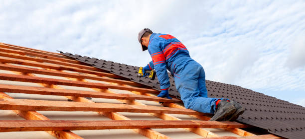 Best Roof Coating and Sealing  in , MN