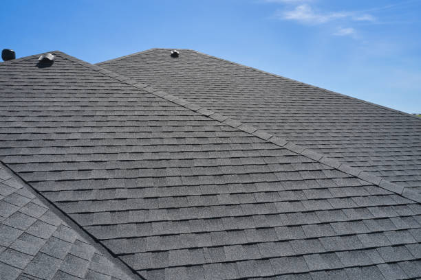 Best Skylight Installation and Repair  in , MN